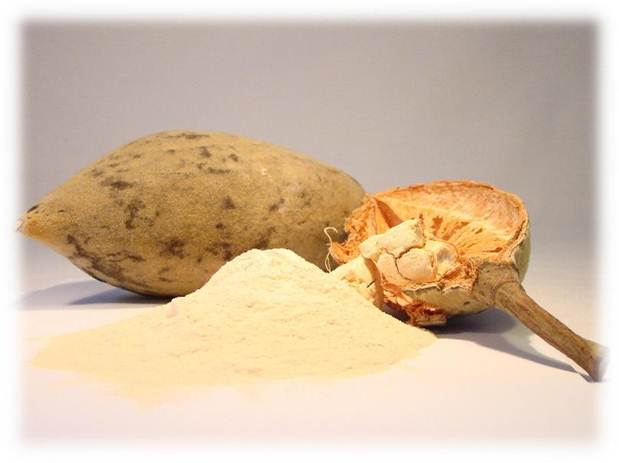 Description: Baobab Fruit Powder