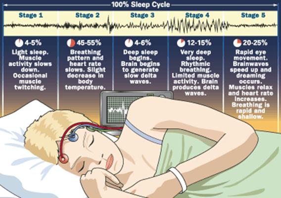 Description: sleep cycle