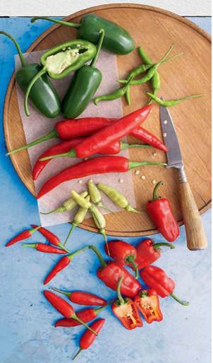 Description: Hot ingredients like pepper and chilli not only boost metabolism but curb appetite.
