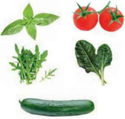 Description: Top 5 foods for a nutritious family garden