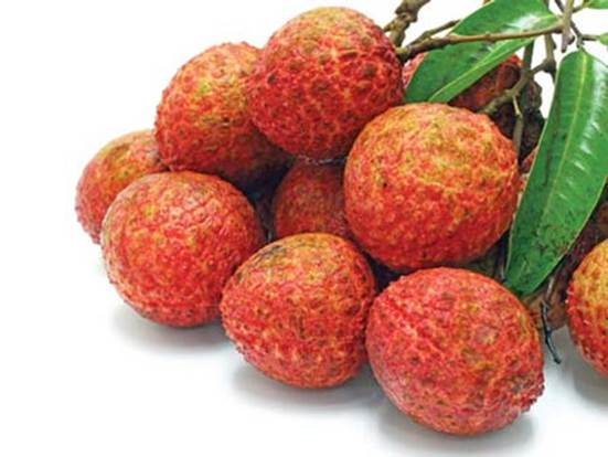 Nutritious components of litchi are very plentiful and many people like to eat it.