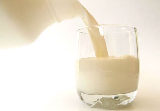 Cow's milk is very good for adults, but babies under 1 year old should not try this 