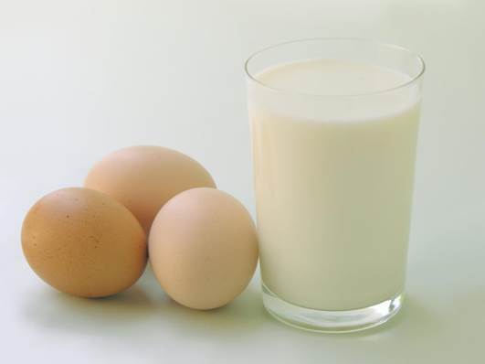 Milk and egg yolk can’t meet the body need of iron.