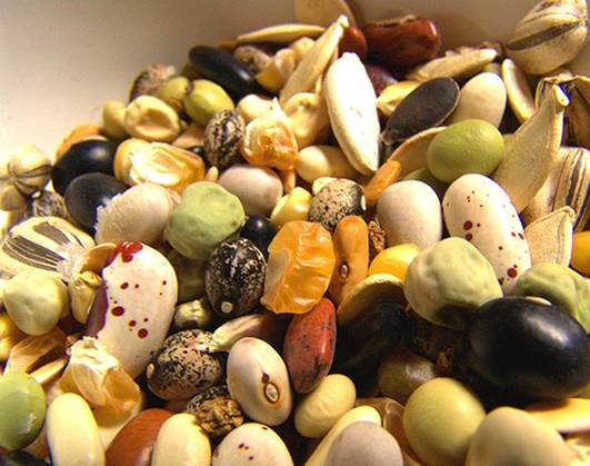 Seeds are rich in unsaturated fat that can prevent cardiovascular diseases and cancer.