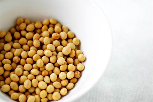 Wrong usage can make soy products harmful substances.