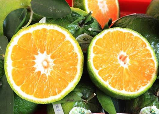 Eating oranges or tangerines usually can help decrease the risk of cancers like lung cancer, stomach cancer….
