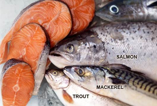You can also supplement mackerel, anchovy, tuna, and herring which contain a plenty of unsaturated fat acid omega-3.