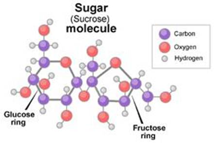 Description:  High Fructose Corn Syrup (HFCS) = Corn Sugar