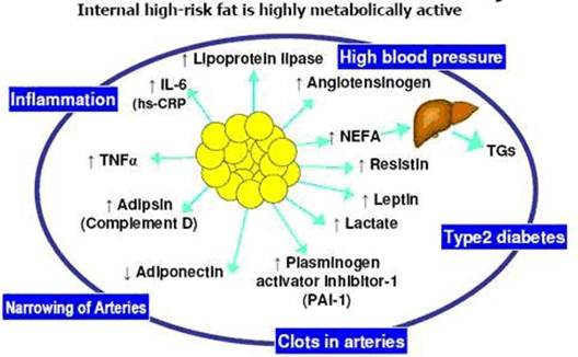 Description: Type 2 Diabetes is not just about high sugar (glucose) but more about hyperinsulinemia, inflammation and adipocyte dysfunction