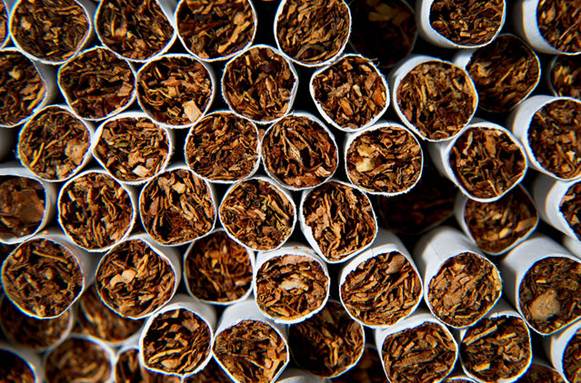 Description: People who are addicted to tobacco are at increasing risks of osteoporosis.