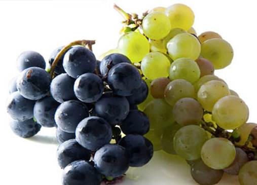 Description: Grapes