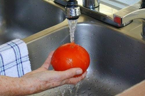 Description: Wash the tomatoes thoroughly with cold water.