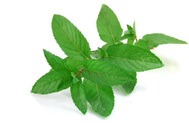 Description: Clean pores with mint leaves is the way which does not harm your skin and money.