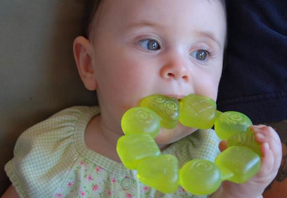 Description: Cold teething rings have a variety of colors and styles to evoke the interest of your baby